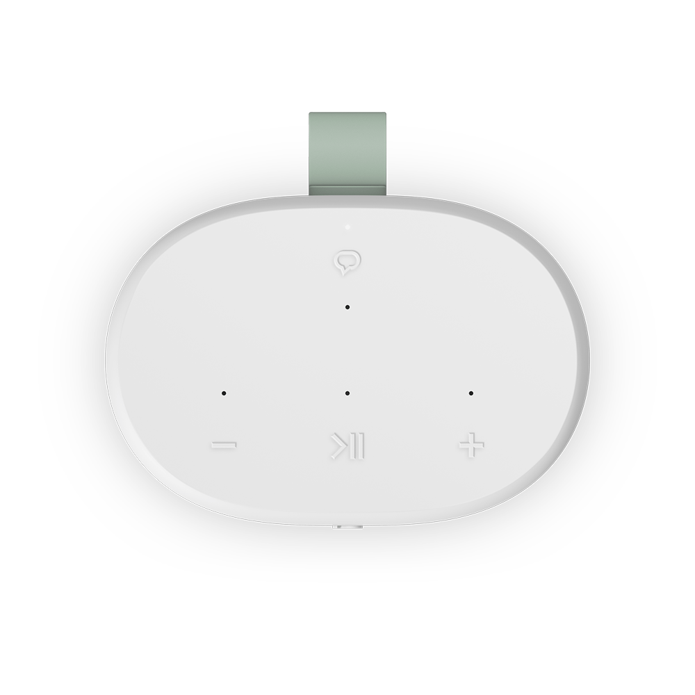 Smart speaker Portátil Sonos Play